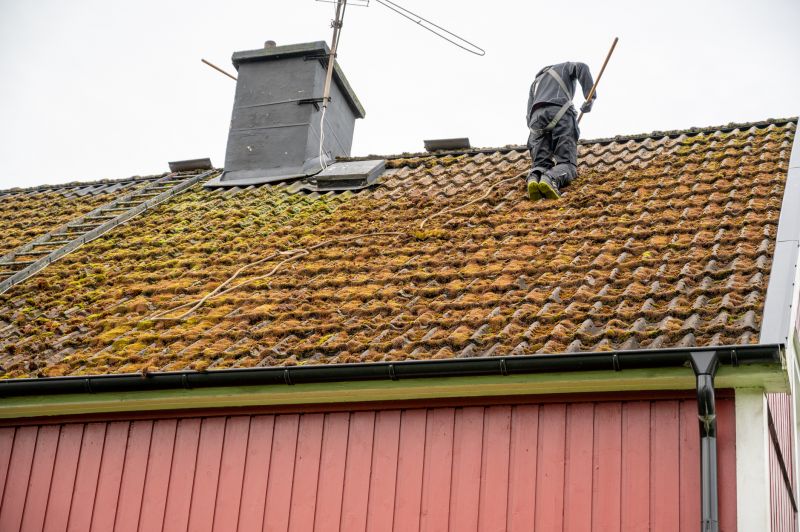 How Roof Cleaning Helps Prevent Mold, Algae, And Moss Growth