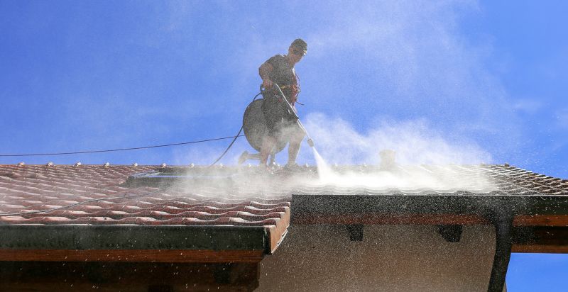 Professional Roof Cleaning Service