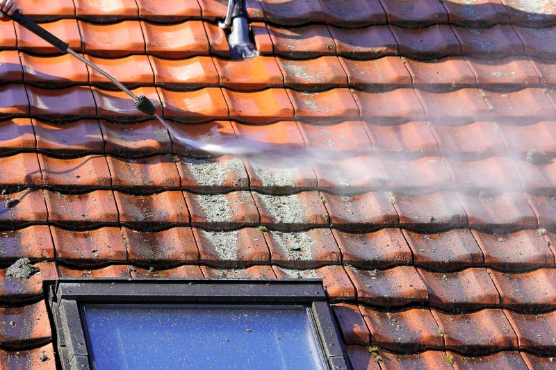 Tile Roof Washing